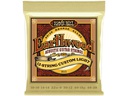 Ernie Ball Gitarrensaiten 2013 Earthwood Bronze – Custom Light 10-48