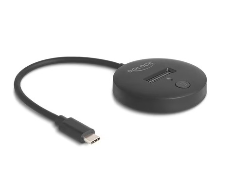 [90339557 1676951] Delock Dockingsstation M.2 NVMe / SATA SSD USB 10 Gbps USB Type-C