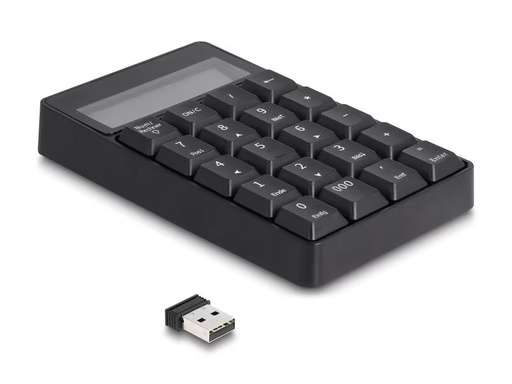 [90340456 1697090] Delock Ziffernblock 2.4 GHz