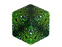 Shashibo Shashibo Cube Forest