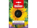 Blumen Saatgut Sonnenblume Twilight Zone