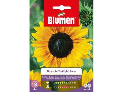 [90342927 1691274] Blumen Saatgut Sonnenblume Twilight Zone