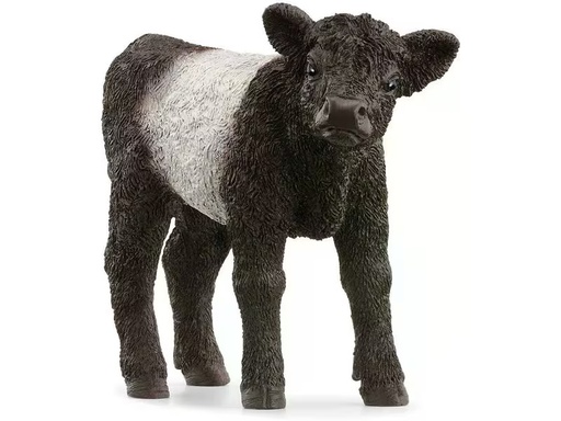 [90342935 1676288] Schleich Spielzeugfigur Farm World Galloway Kalb