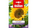 Blumen Saatgut Sonnenblume Gigante