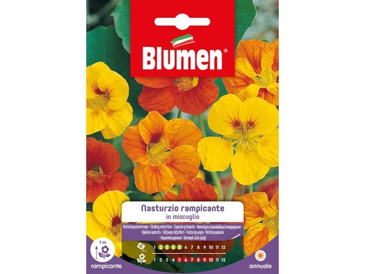 [90342943 1691279] Blumen Saatgut Kletterkapuzinerkresse Mix