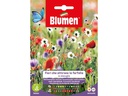 Blumen Saatgut Blühende Schmetterlingspflanzen