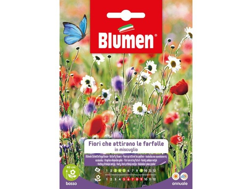 [90342944 1691285] Blumen Saatgut Blühende Schmetterlingspflanzen