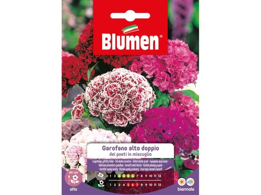 [90342970 1691288] Blumen Saatgut Langstielige, gefüllte Nelke Mix
