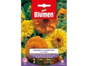 Blumen Saatgut Grossblütige Ringelblume Mix