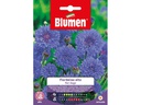 Blumen Saatgut Kornblume gefüllt hoch