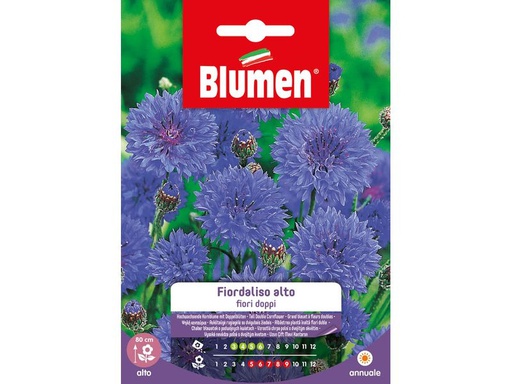 [90342986 1691294] Blumen Saatgut Kornblume gefüllt hoch