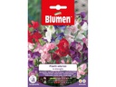 Blumen Saatgut Gartenwicke Mix