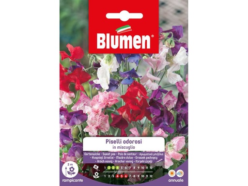 [90342990 1691289] Blumen Saatgut Gartenwicke Mix