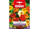 Blumen Saatgut Gefüllte Zwerkapuzinerkresse Mix