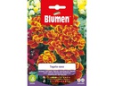 Blumen Saatgut Zwergtagetes Marietta
