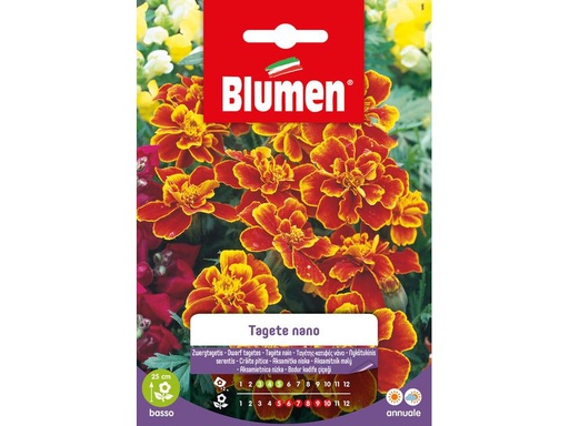 [90343000 1691280] Blumen Saatgut Zwergtagetes Marietta