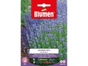 Blumen Saatgut Lavendel Blumen