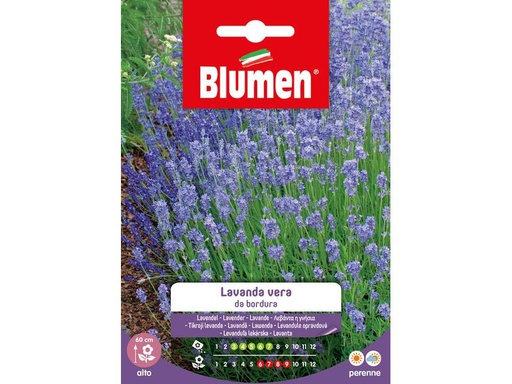 [90343001 1691296] Blumen Saatgut Lavendel Blumen