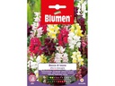Blumen Saatgut Riesenlöwenmäulchen Mix