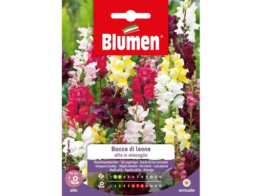 [90343010 1691286] Blumen Saatgut Riesenlöwenmäulchen Mix