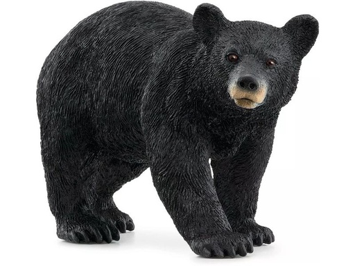 [90343041 1676303] Schleich Spielzeugfigur Wild Life Amerikanischer Schwarzbär