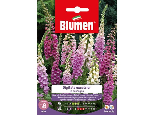 [90343049 1691291] Blumen Saatgut Fingerhut Excelsior Mix
