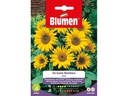Blumen Saatgut Sonnenblume Bambino