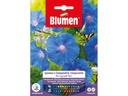 Blumen Saatgut Grossblütige Kletterwinde