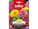 Blumen Saatgut Riesenzinnie California Mix