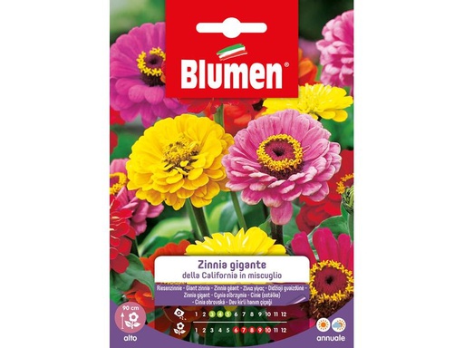 [90343146 1691282] Blumen Saatgut Riesenzinnie California Mix