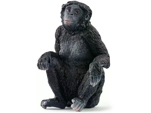 [90343183 1676309] Schleich Spielzeugfigur Wild Life Bonobo Weibchen