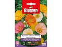Blumen Saatgut Mohn Victory Mix