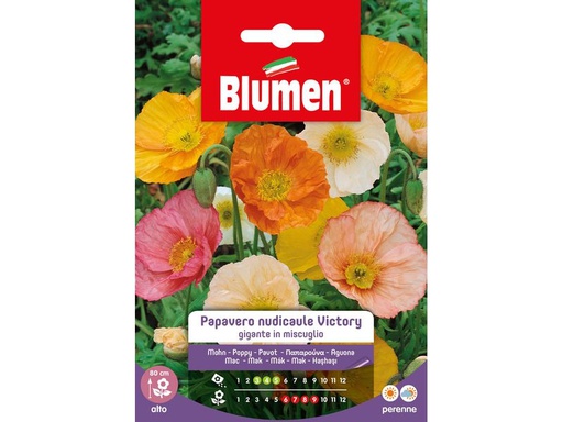 [90343198 1691284] Blumen Saatgut Mohn Victory Mix