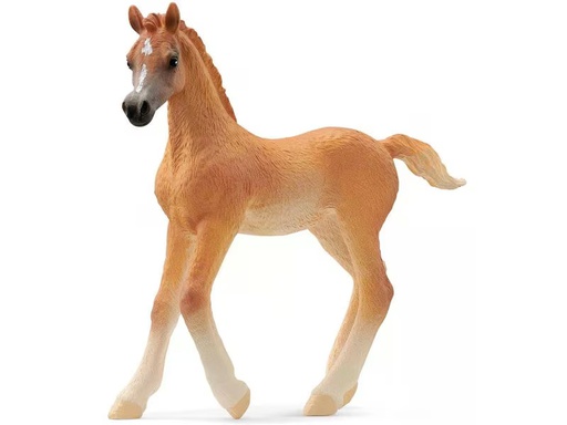 [90343309 1676301] Schleich Spielzeugfigur Horse Club Araber Fohlen