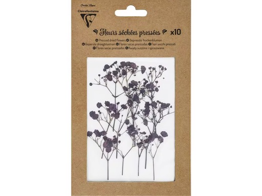 [90343992 1696989] Clairefontaine Trockenblumen Lavendel