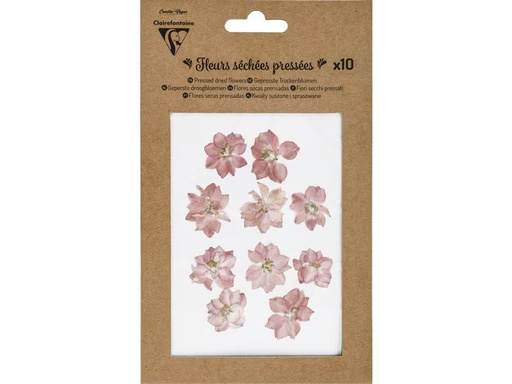 [90344060 1696990] Clairefontaine Trockenblumen Rosa