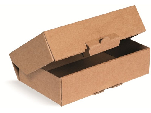 [90345083 1703443] Brieger Aufrichtschachtel 1-wellig, 230x120x90 mm, Braun, 50 Stück