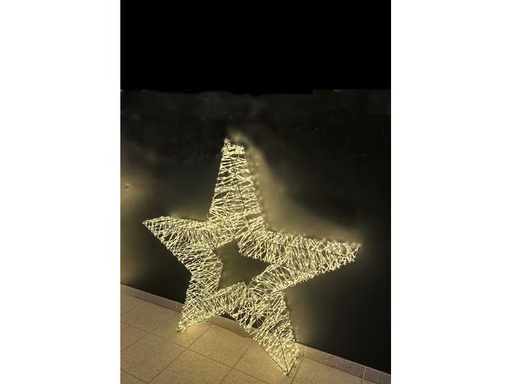 [90347711 1681634] Dameco LED-Figur Stern, 1500 LEDs, 11 x 90 cm, Silber