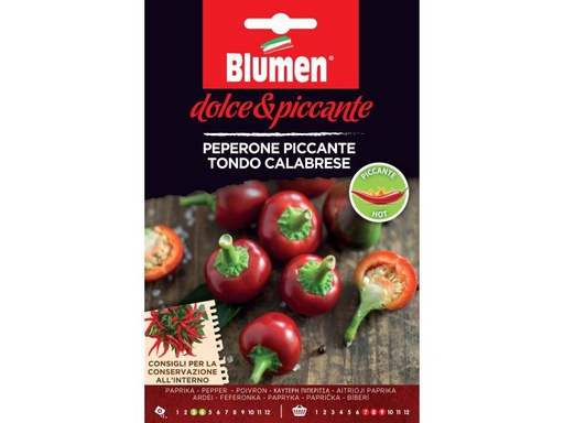 [90054971 848189] Blumen Samen Paprika Piccante Tondo Calabrese