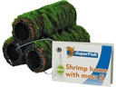 SuperFish Shrimp Garnelenturm mit Moos S