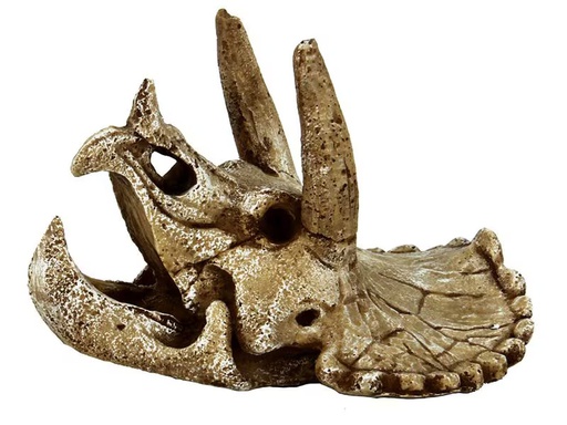 [90349501 1707587] SuperFish Dekoration Schädel Triceratops M