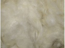 Nobby Kapokwolle 50 g