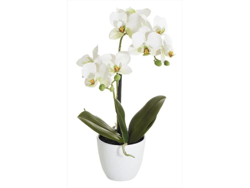 [90055374 1037116] Botanic-Haus Kunstblume Phalenopsis 2 Rispen im Topf