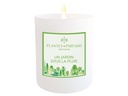 Plantes & Parfums Duftkerze Ein Garten im Regen 180 g