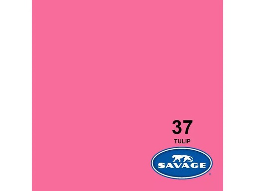 [90057125 1084926] Savage Hintergrund Papier 2.72 x 11m Tulip