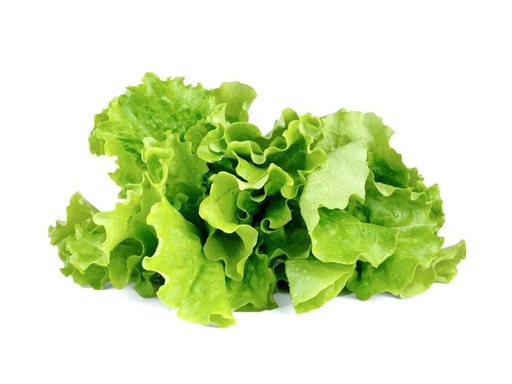 [90058311 709872] Click and Grow Samen Grüner Salat Nachfüllpackung 3er-Set