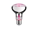 Paulmann Leuchtmittel Grow Green R80 E27, 6.5 W