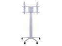Multibrackets TV-Trolley Display Stand 180 Single bis max. 70kg