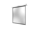 Celexon Deckeinbauleinwand Motor Professional Plus 240x240cm 1:1