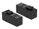 Delock Keystone-Modul Mini-Displayport – Mini-Displayport Schwarz